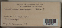 Image Associated With the Occurrence